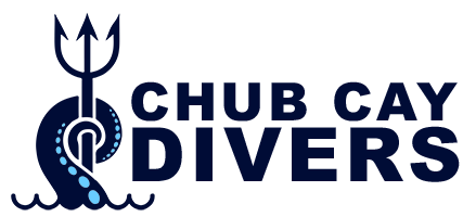 Chub Cay Divers